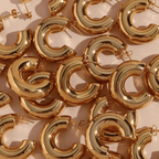 Arista earrings