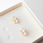 Caribbean earrings