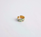 Delhi ring
