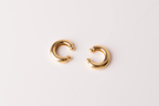 Elena Earcuff