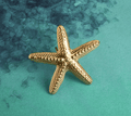 Star Gold ring