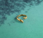 Viv ring