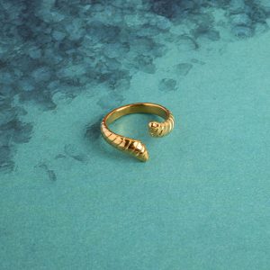 Viv ring